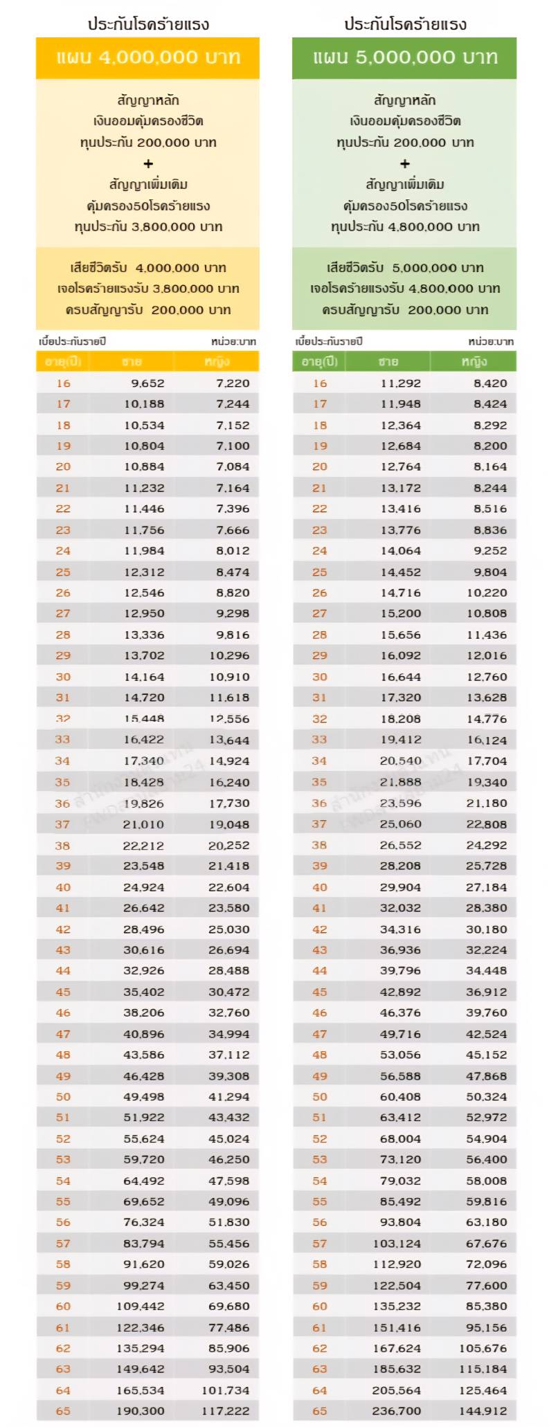 เบี้ยประกันโรคร้ายแรง ซีไอ 50 - รายละเอียดเบี้ยประกัน