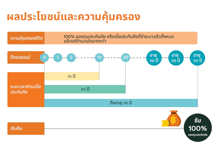 ตัวอย่างเบี้ยประกัน - ผลประโยชน์และความคุ้มครอง